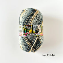 画像をギャラリービューアに読み込む, 【靴下のキット・編み図つき】OPAL ザウバーワールド 2024年秋冬