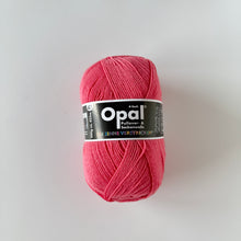 画像をギャラリービューアに読み込む, 【キット】Drift Lace Socks(OPAL単色)