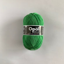 画像をギャラリービューアに読み込む, 【靴下のキット・編み図つき】ソックヤーン〜靴下毛糸〜